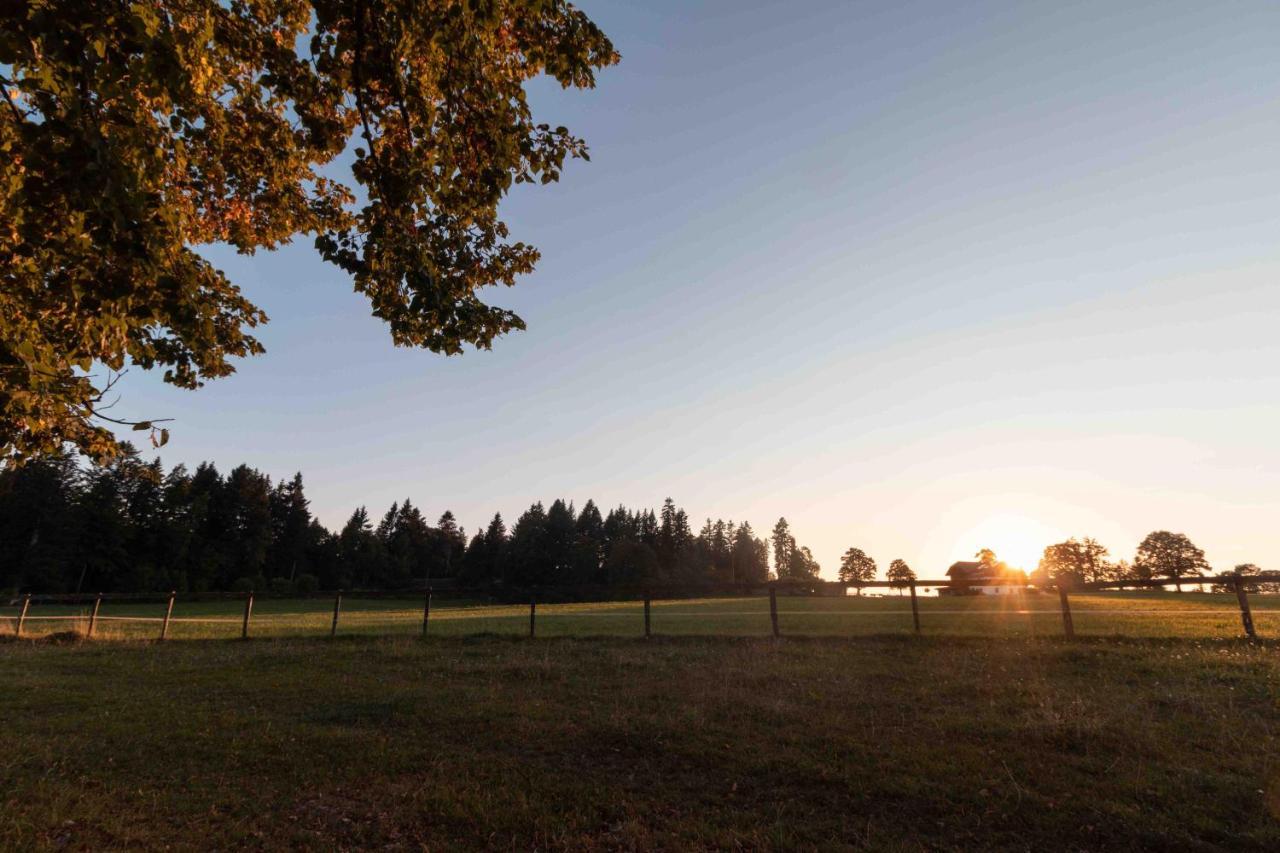 Au Chant Du Vent Tramelan Exteriör bild